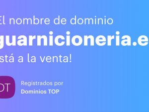 dominio guarnicioneria.es